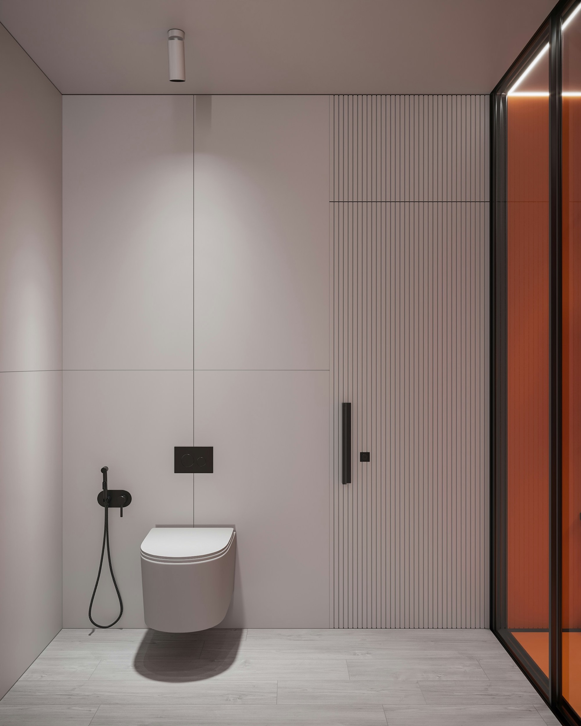 Minimal toilet area with concealed flush plate and modern shower glass